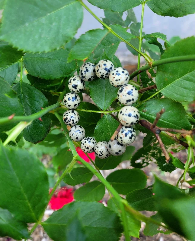 Dainty Silver Bracelet-Dalmatian Jasper Bracelet